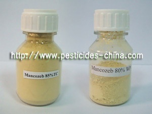64% Mancozeb + 8% Metalxyl WDG