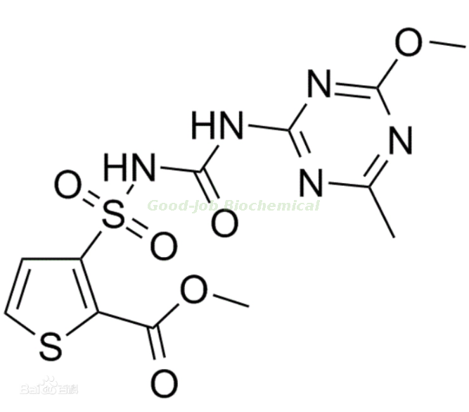 Thifensulfuron-methyl 95% Tech 10%15% 75%WP 75%WG